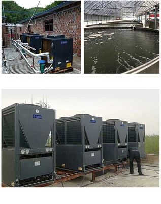 Máy bơm nhiệt bể bơi biến tần R410A A +++ ERP R32 DC Không khí vào nước