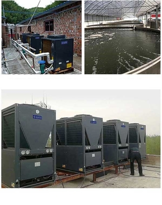 Máy bơm nhiệt nguồn khí CO2 R744 Máy nước nóng 90 độ với máy nén Dorin